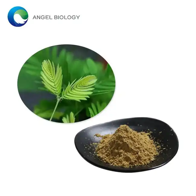 How is Mimosa Pudica Extract Standardized for Pharmaceutical Use?